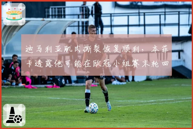 迪马利亚肌肉撕裂恢复顺利，本菲卡透露他可能在欧冠小组赛末轮回归