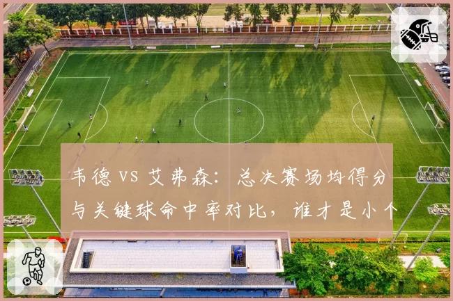 韦德 vs 艾弗森:总决赛场均得分与关键球命中率对比,谁才是小个子之王